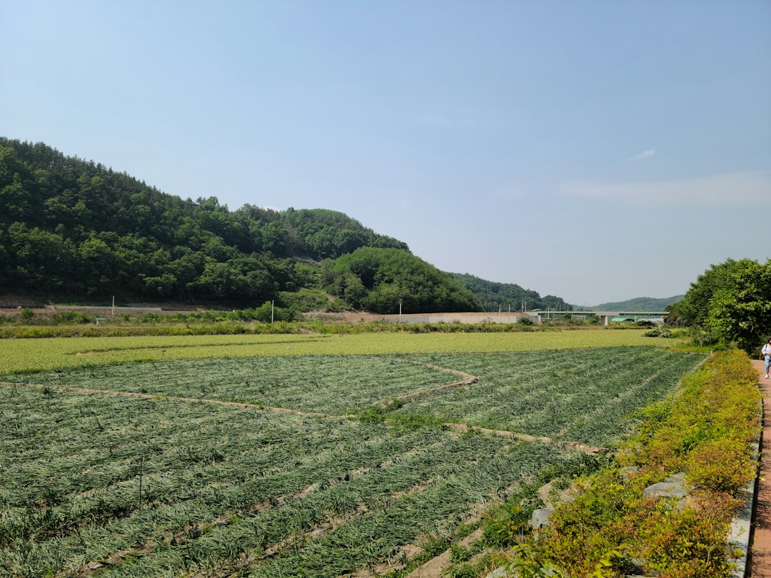 식초효능 참고 이미지 2