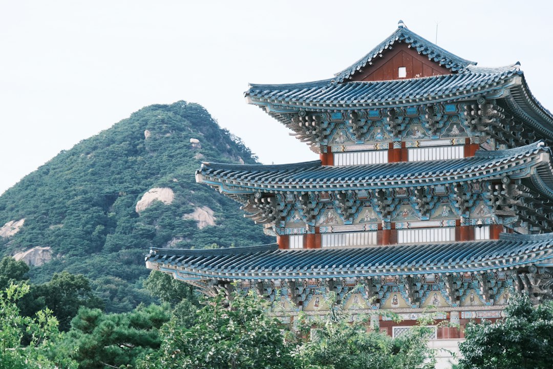 산양삼효능 참고 이미지 2