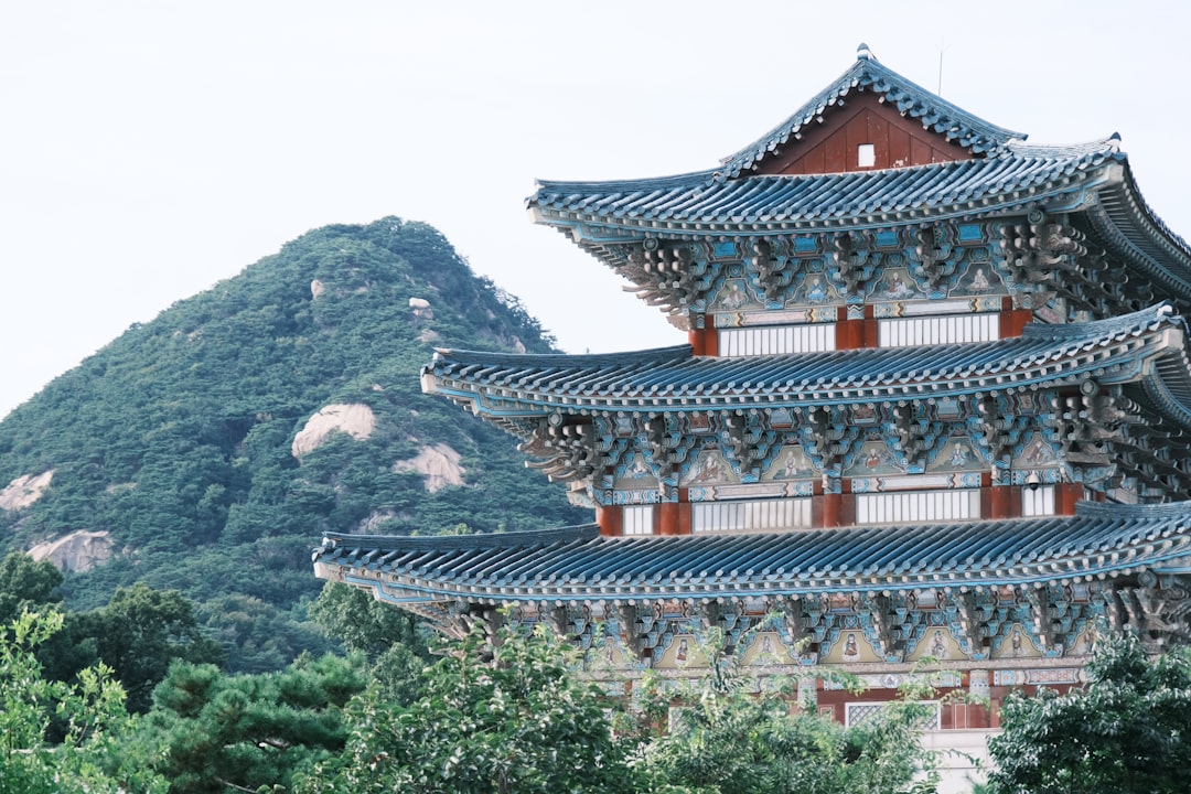 장뇌삼효능 참고 이미지 2